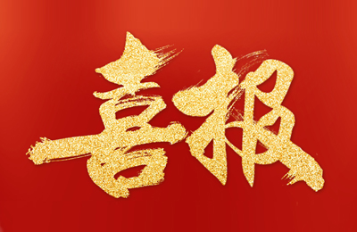 热烈祝贺浙江瑞仪工业新版网站成功上线！